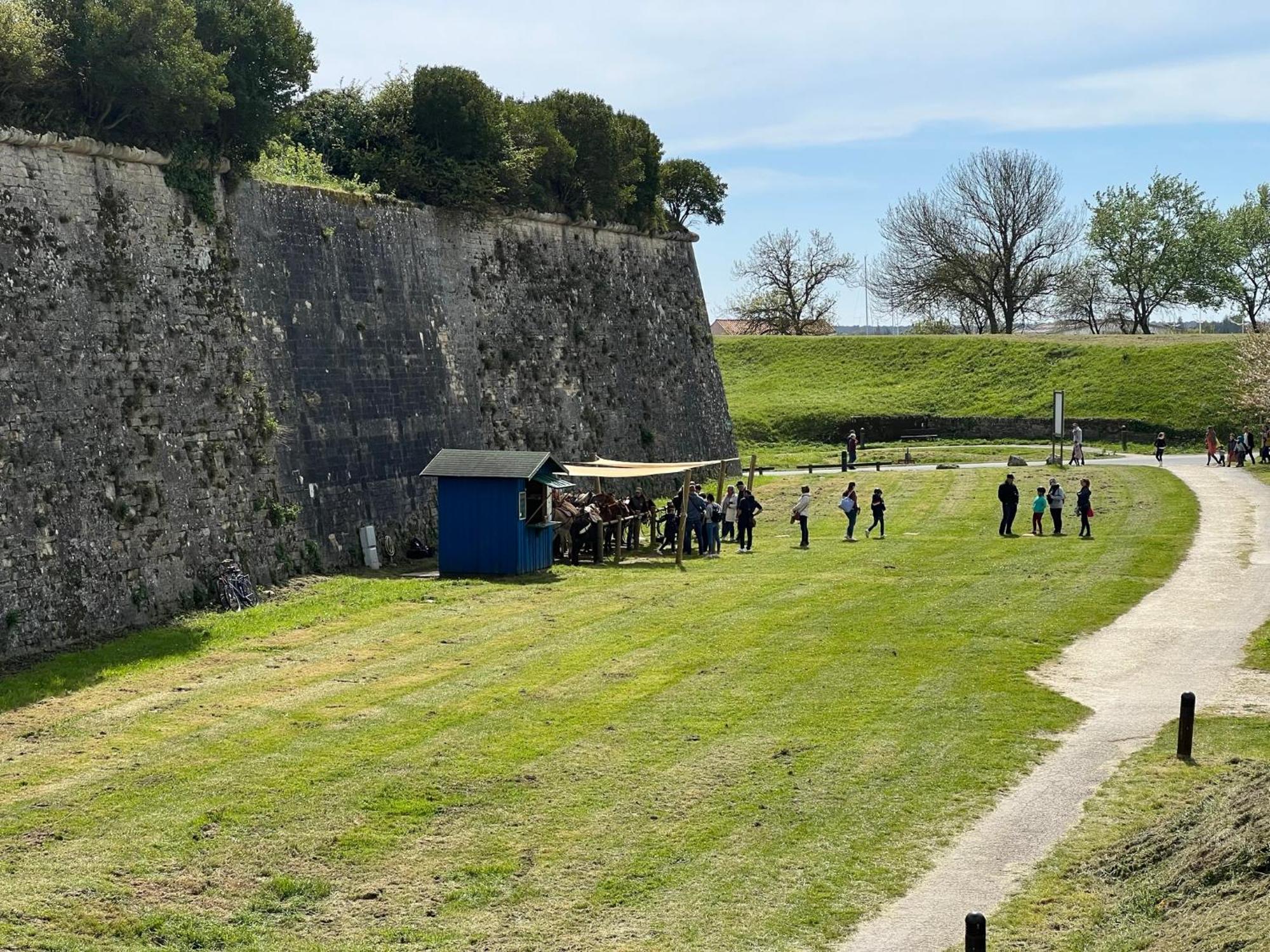 Les Amareyeurs - Ile D'Oleron - Maison Classee 3 Etoiles Avec Piscine - Clim - Velos Le Château-dʼOléron Dış mekan fotoğraf